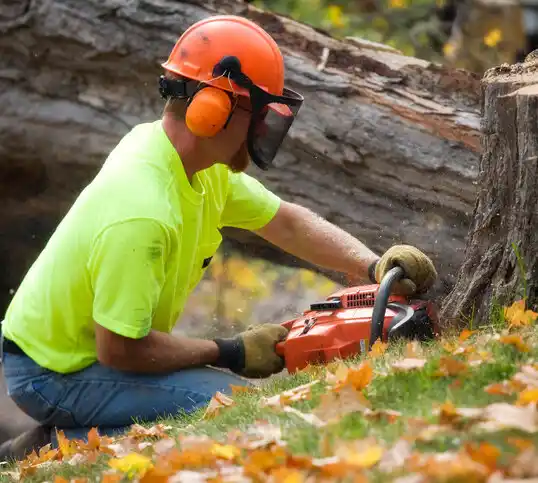 tree services Lake Waynoka